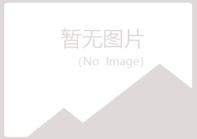 宜川县傲之水泥有限公司